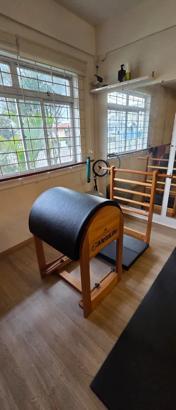 Ladder Barrel de Pilates